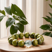 Green sandalwood bracelet with a clear green phantom crystal focal bead